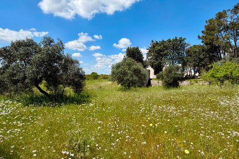 Masia a Cisternino, Brindisi, Cisternino - € 290.000 | Ref: 382 - foto 7